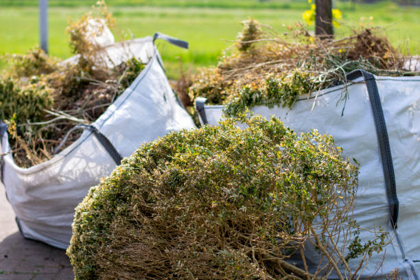 Best Commercial Cleanout Services  in Eagle River, WI